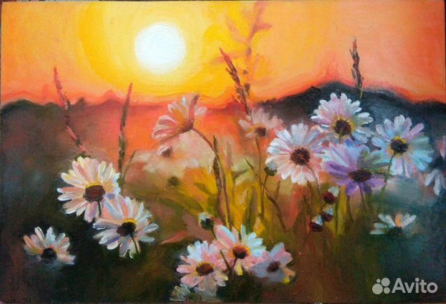 Картина маслом. Цветы. Ромашки на закате