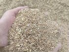 Зерноотходы пшеничные