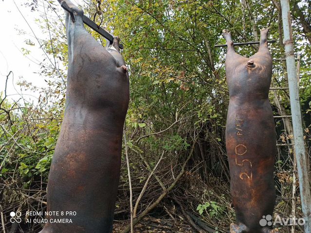 Свинина домашняя, Мясо, кабан