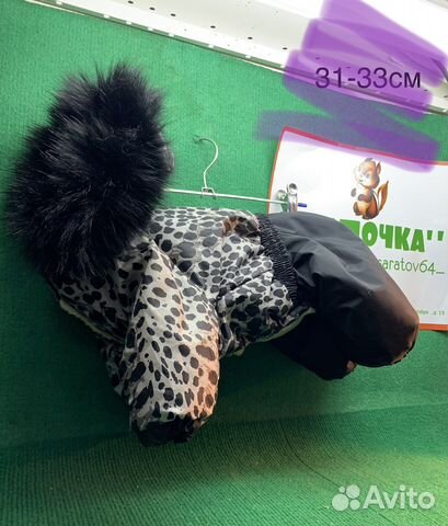 Одежда для собак