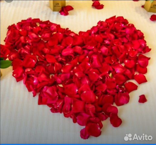Лепестки роз