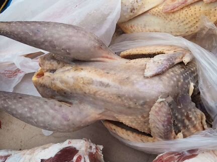 Мясо индейки,домашнее,деревенское