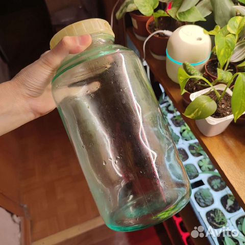 Стеклянная бутылка 2л