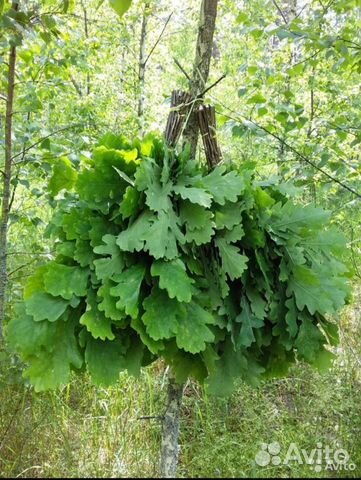 Веники для бани