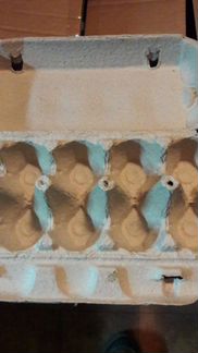 Продаётся бокс под куриное яйцо(б/у).500 шт