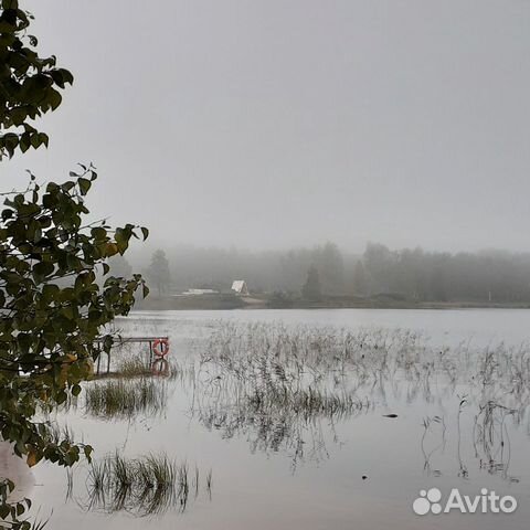 Стихи, тексты, сказки, рассказы на заказ