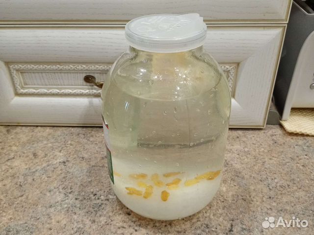 Индийский морской рис (гриб)