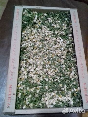 Сухие лечебные травы