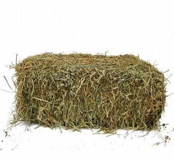 Продаю сено солому в брикетах