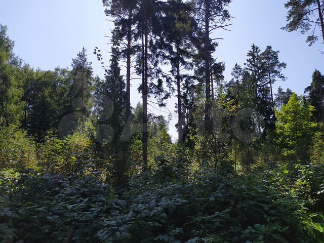 Участок 17 сот. (ИЖС)