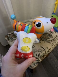 Рудужный щенок