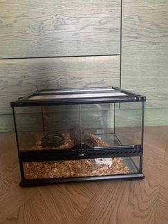 Террариум с оборудованием