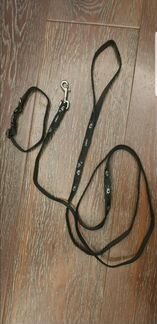 Поводок и ошейник с пластиковой застежкой rogz