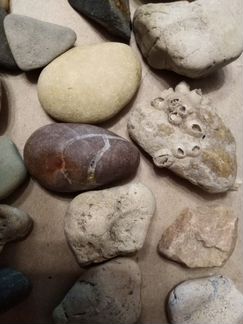 Морские камешки