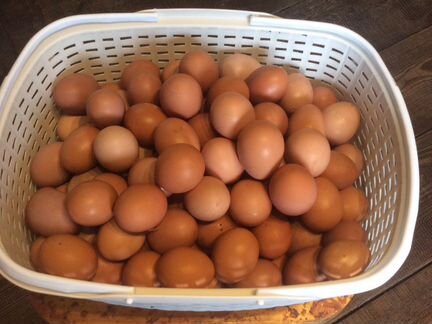 Яйца,домашние сало