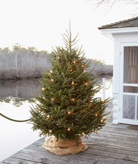 Елка новогодняя