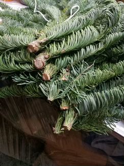 Лапник для композиций, венков, елок