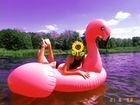 Надувной фламинго объявление продам