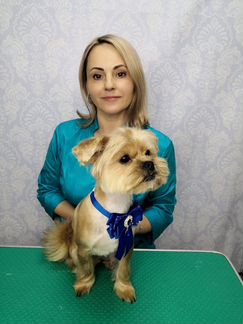 Стрижка собак и кошек