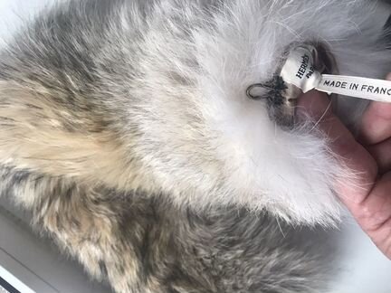 Горжетка из волка hermes оригинал