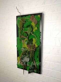 Фитокартина