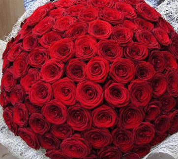 Розы, 51 роза, 101 роза