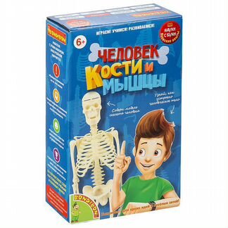 Японские опыты Bondibon Науки с Буки, Человек, Кости и мышцы (вв4728)