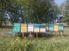 Прицеп для перевозки пчёл объявление продам