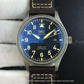 Часы IWC Mark 18 IW327006 Titanium