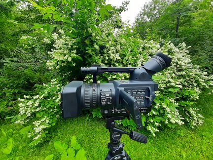 Профессиональная камера Panasonic AG HBX 204 AER