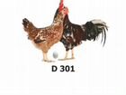 Цыплята доминанты, бройлер кооб, цветной бройлер объявление продам