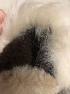 Новые Угги из Болгарии натуральные