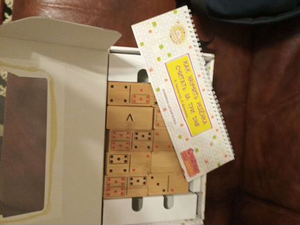 Домино Чаплыгина