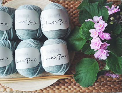 Листья Фиалки