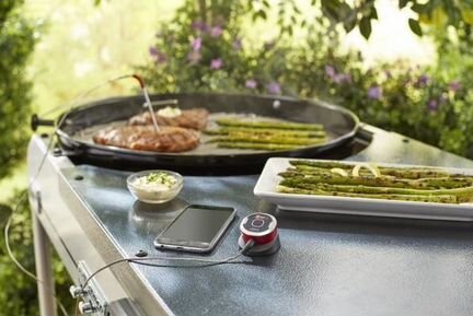 Термометр Weber IGrill Mini 7220