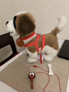 Собака Samby