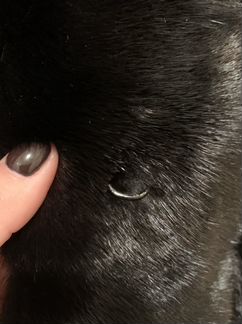 Норковая шуба Vericci