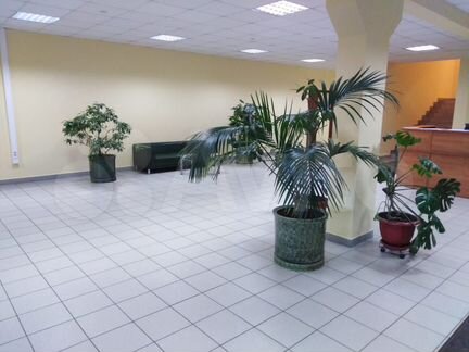 Сдам офисное помещение, 137.5 м²